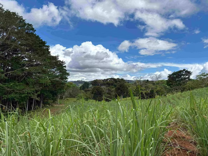 Se Vende Terreno Agrícola en Juntas de Pacuar, Pérez Zeledón