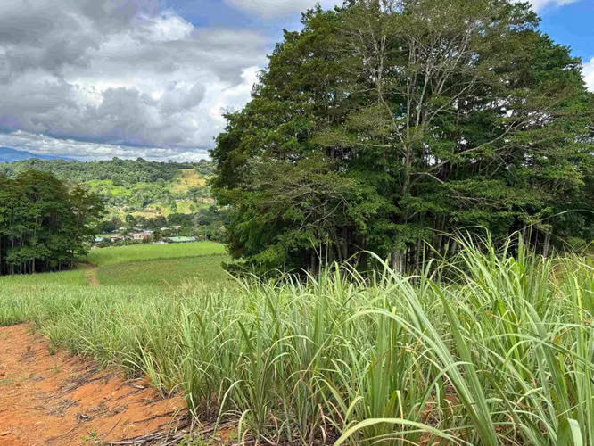 Se Vende Terreno Agrícola en Juntas de Pacuar, Pérez Zeledón