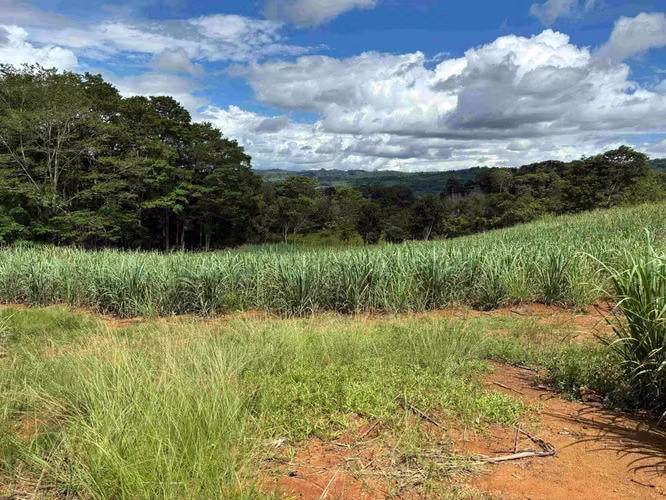 Se Vende Terreno Agrícola en Juntas de Pacuar, Pérez Zeledón