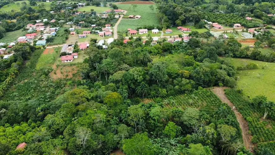 VENTA DE LOTE 5.000M2 + CASA EN PÉREZ ZELEDÓN, NUEVA SANTA ANA - Imagen 6