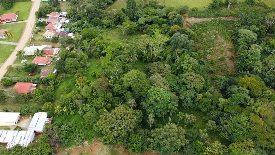 VENTA DE LOTE 5.000M2 + CASA EN PÉREZ ZELEDÓN, NUEVA SANTA ANA - Imagen 4