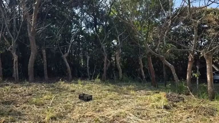 La Garita Urbanización Quintas Montisel - Imagen 4