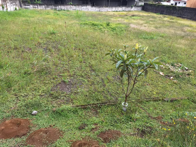 COSTA RICA SAN JOSÉ CURRIDABAT GRANADILLA VENTA DE TERRENO. - Imagen 6