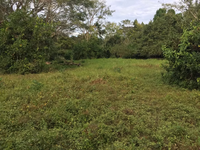 Lote 473 m² en Playa Cabuya, cerca de Cabo Blanco