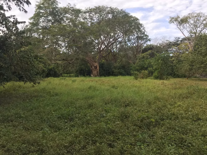 Lote 473 m² en Playa Cabuya, cerca de Cabo Blanco
