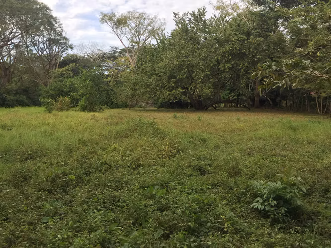 Lote 473 m² en Playa Cabuya, cerca de Cabo Blanco
