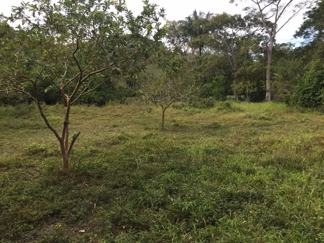 Lote 473 m² en Playa Cabuya, cerca de Cabo Blanco