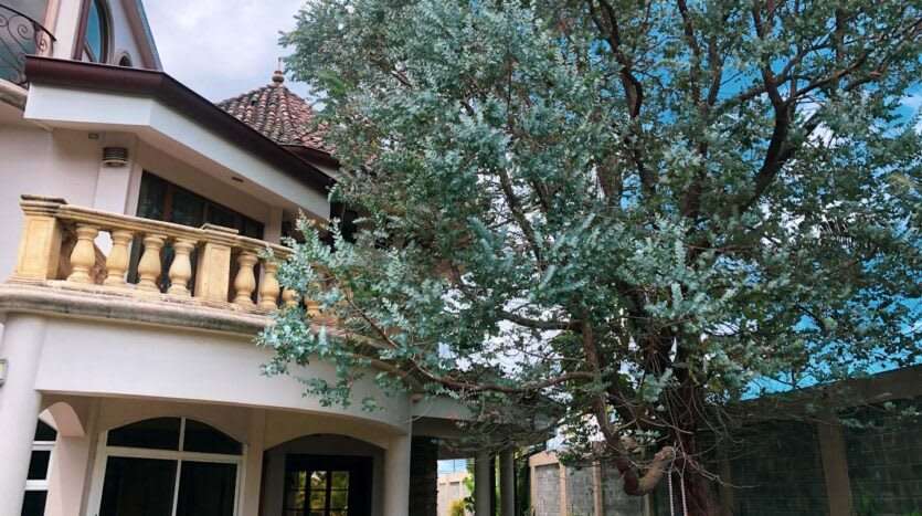 Venta de Casa de ensueño - Mansión - Imagen 13