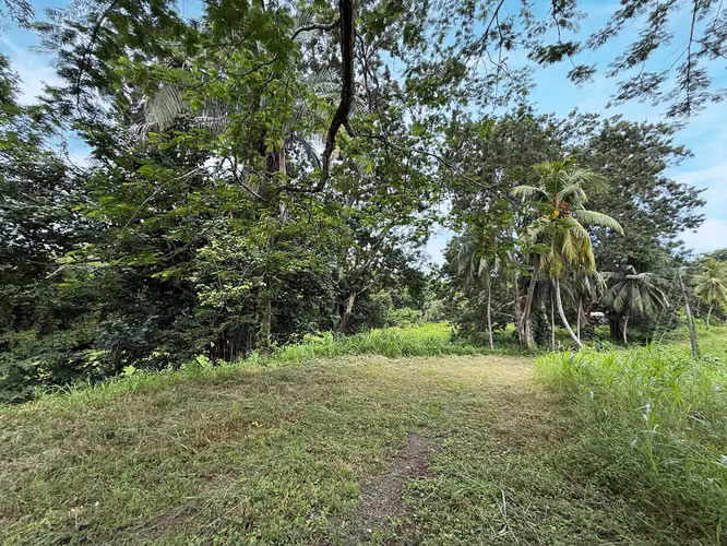 Se vende espectacular Terreno en Playa Agujas (MV).