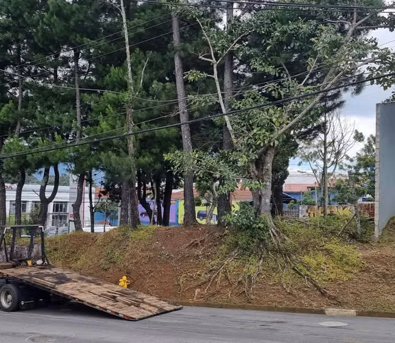 Terreno en venta en Curridabat 14633 - Imagen 5