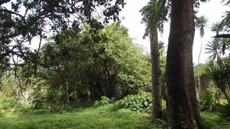 Lote en venta en San Rafael Montes de Oca 13296 - Imagen 9