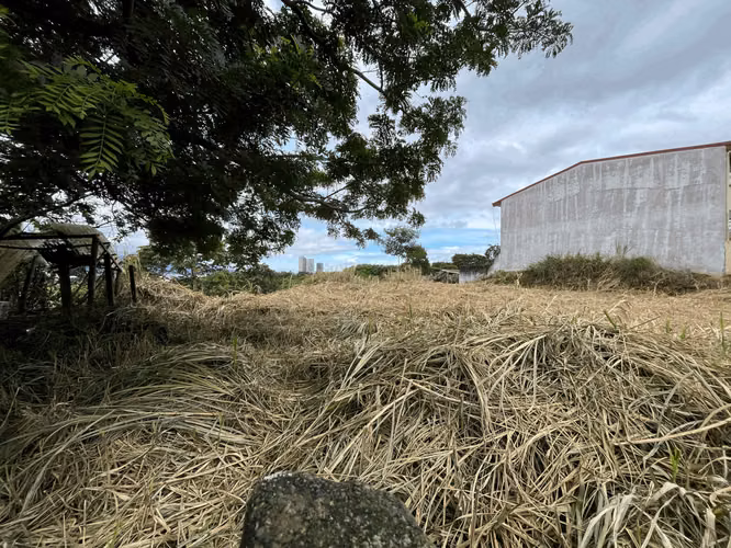 SE VENDE LOTE INDEPENDIENTE - RES. C/ AGUJA - GUAYABOS - CURRIDABAT - Imagen 3