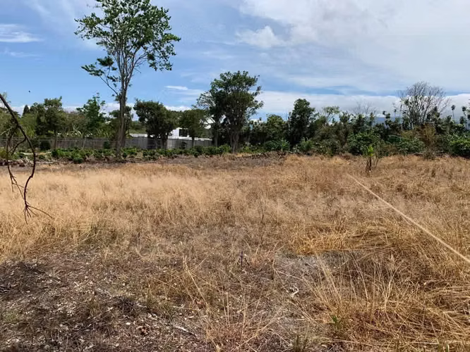 Santo Tomas, Santo Domingo terreno para desarrollo - Imagen 3