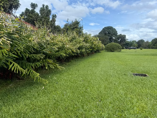 EN VENTA – TERRENO ALTA DENSIDAD – CARBONAL / LA CEIBA - ALAJUELA - Imagen 8