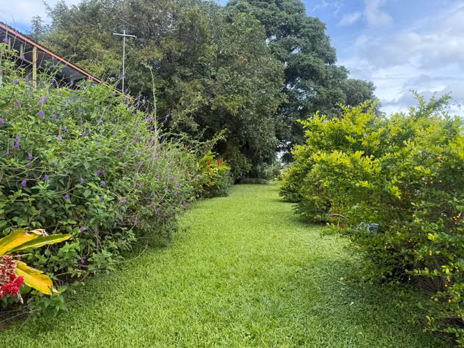 EN VENTA – TERRENO ALTA DENSIDAD – CARBONAL / LA CEIBA - ALAJUELA - Imagen 13