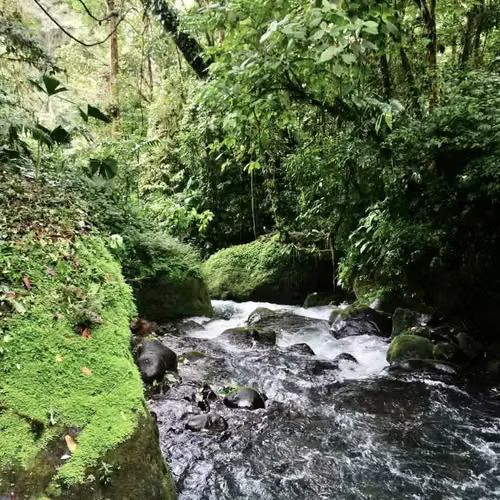 Venta finca San Ramón ECOLOGICAL $180.000