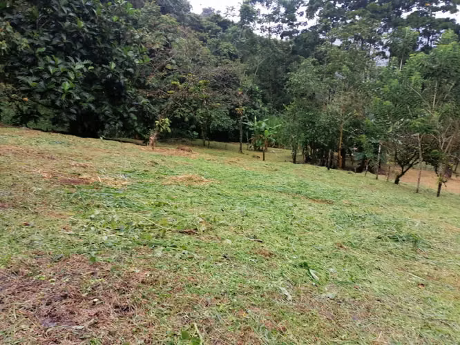 Venta finca San Ramón ECOLOGICAL $180.000