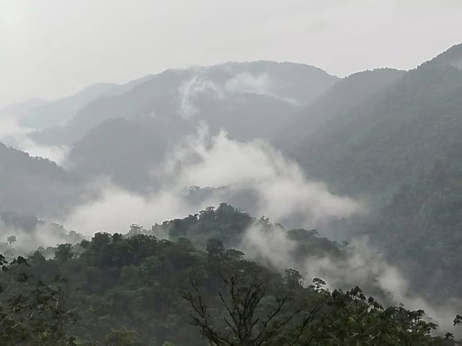 Venta finca San Ramón ECOLOGICAL $180.000