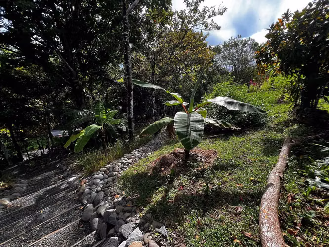 Propiedad en venta en Montezuma, Cóbano.