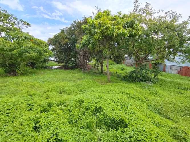 En venta terreno para desarrollo en Desamparados. PP - Imagen 5