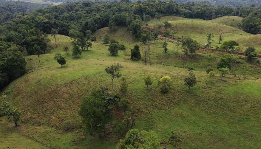 Finca ganadera de 117 hectáreas en Sarapiquí: inversión ideal con vistas a las montañas