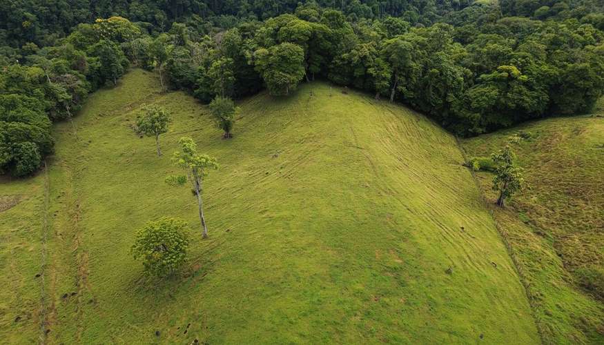 Finca ganadera de 117 hectáreas en Sarapiquí: inversión ideal con vistas a las montañas