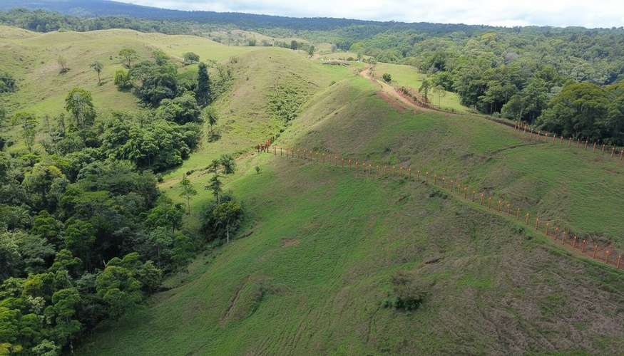 Finca ganadera de 117 hectáreas en Sarapiquí: inversión ideal con vistas a las montañas