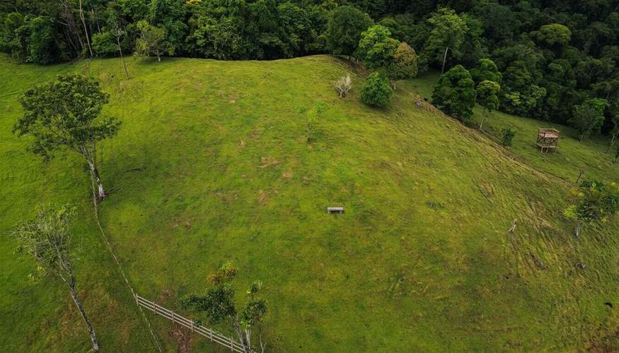 Finca ganadera de 117 hectáreas en Sarapiquí: inversión ideal con vistas a las montañas