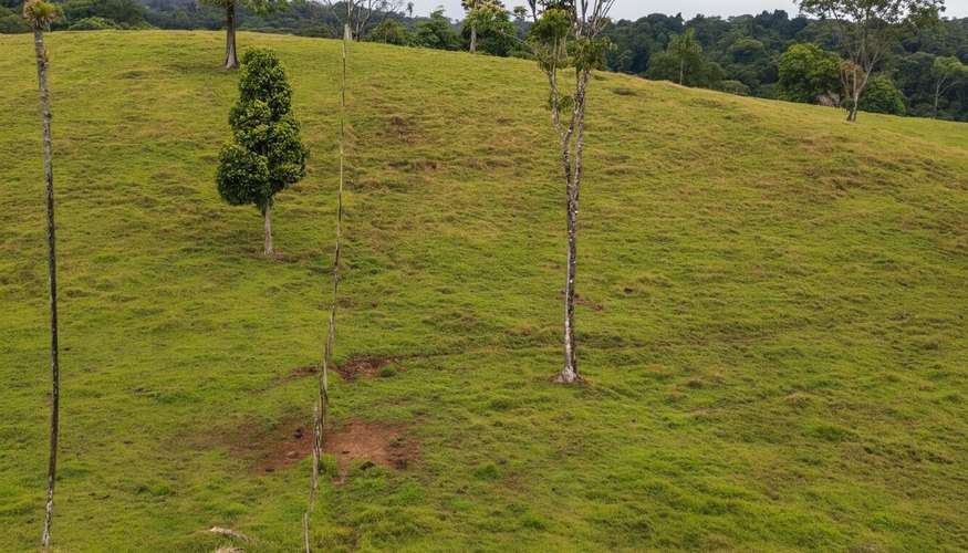 Finca ganadera de 117 hectáreas en Sarapiquí: inversión ideal con vistas a las montañas