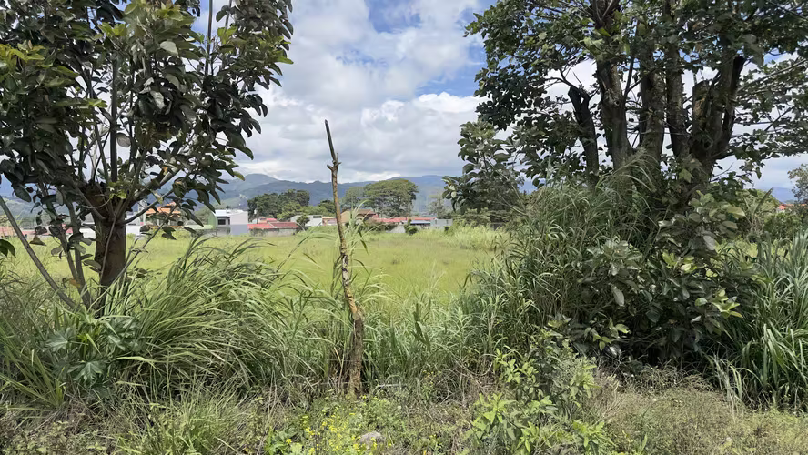 Venta Terreno 8.736 m2 | Uso Mixto: Industrial, Comercial y/o Torre (8 Pisos) | Cartago