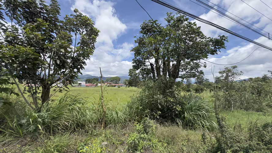 Venta Terreno 8.736 m2 | Uso Mixto: Industrial, Comercial y/o Torre (8 Pisos) | Cartago