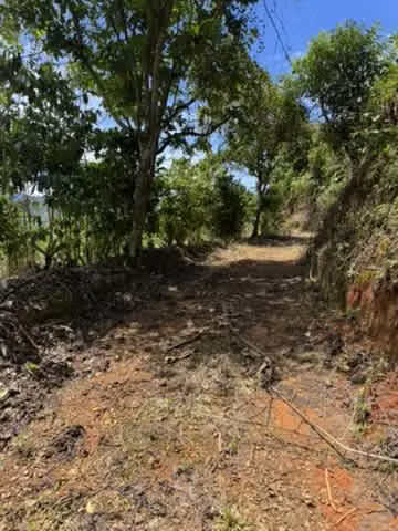 finca cafetalera en venta ubicada en tarrazu