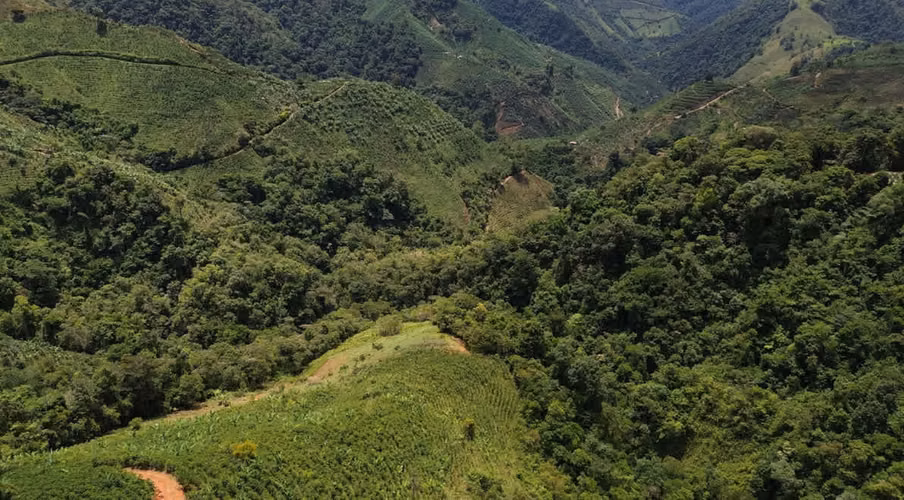 finca cafetalera en venta ubicada en tarrazu