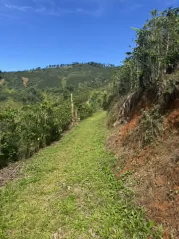 finca cafetalera en venta ubicada en tarrazu