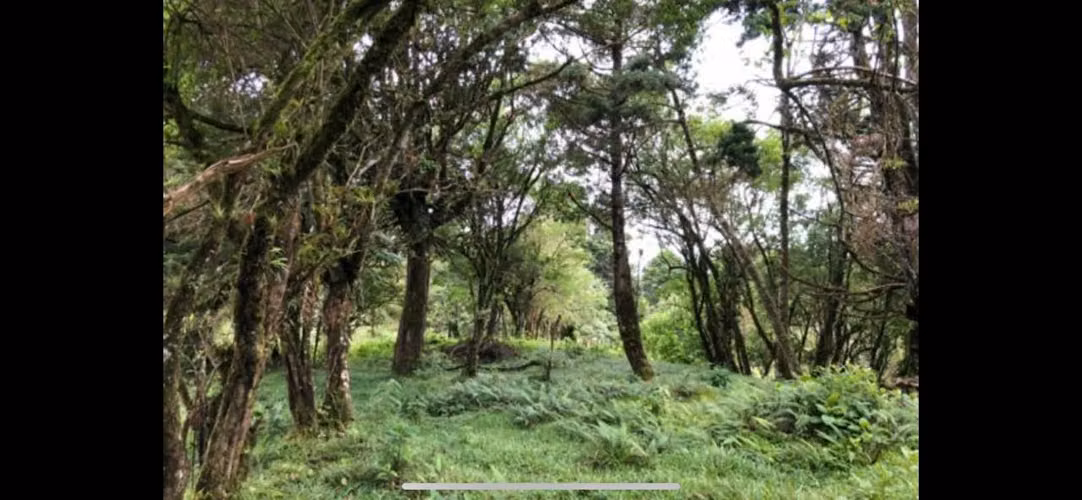 Terreno en San Isidro de Heredia (Santa Elena), 9,867mtrs2 - Imagen 3