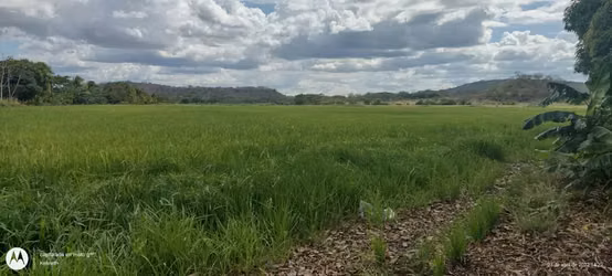 Venta finca Guanacaste Bagaces 56 mill colones GANGA - Imagen 5