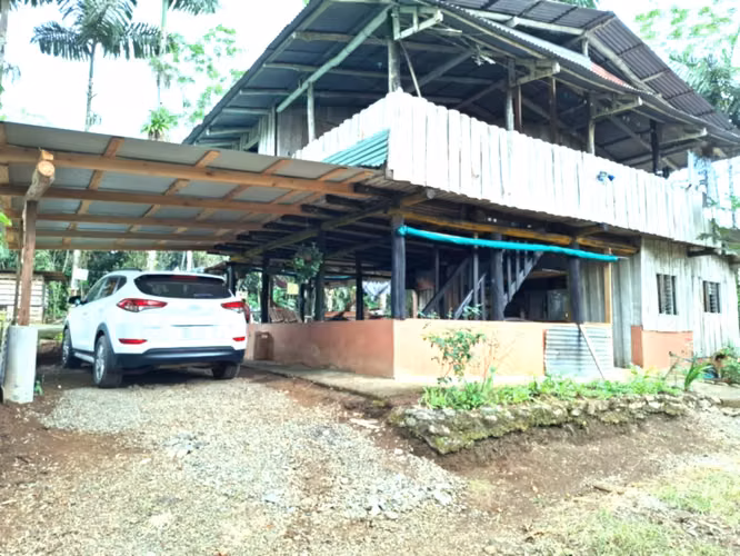 Venta finca Alajuela San Ramon - Imagen 3