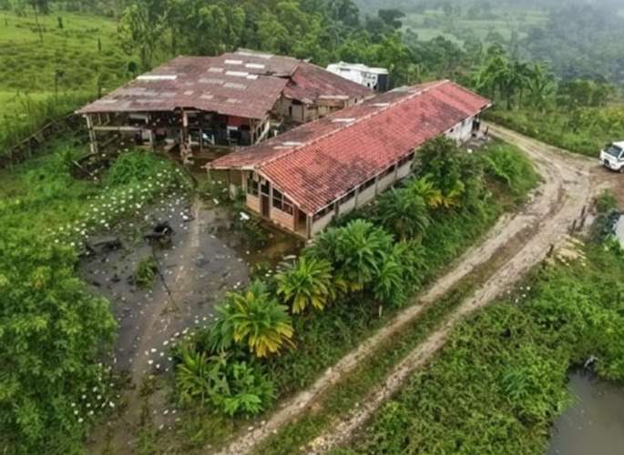 Finca de 20 hectáreas en Turrialba: ideal para ganadería o agricultura con vistas a las montañas - Imagen 19