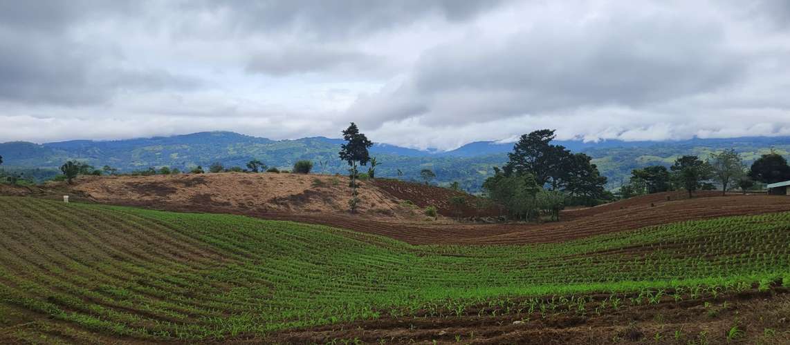 Finca de 20 hectáreas en Turrialba: ideal para ganadería o agricultura con vistas a las montañas - Imagen 3