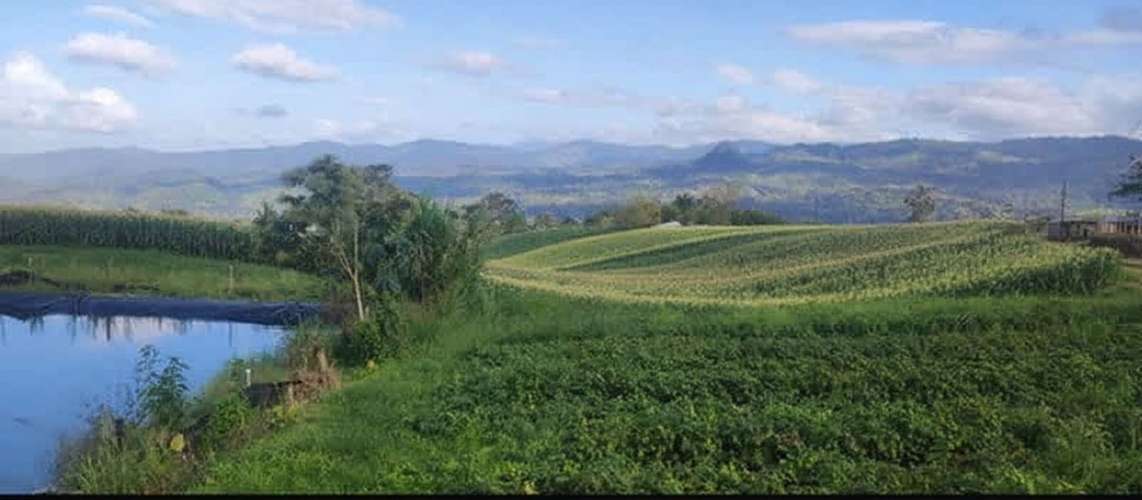 Agricultural real estate is available for purchase.