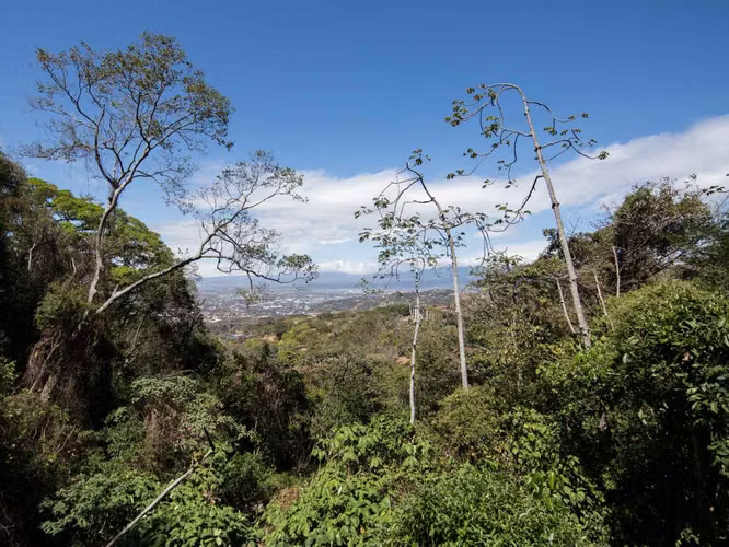 DESCUBRE EL PROYECTO MÁS EXCLUSIVO DEL PAÍS