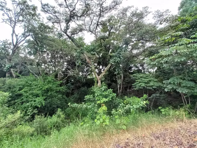 VENTA DE LOTE EN CONDOMINIO-LA GUÁCIMA - Imagen 17
