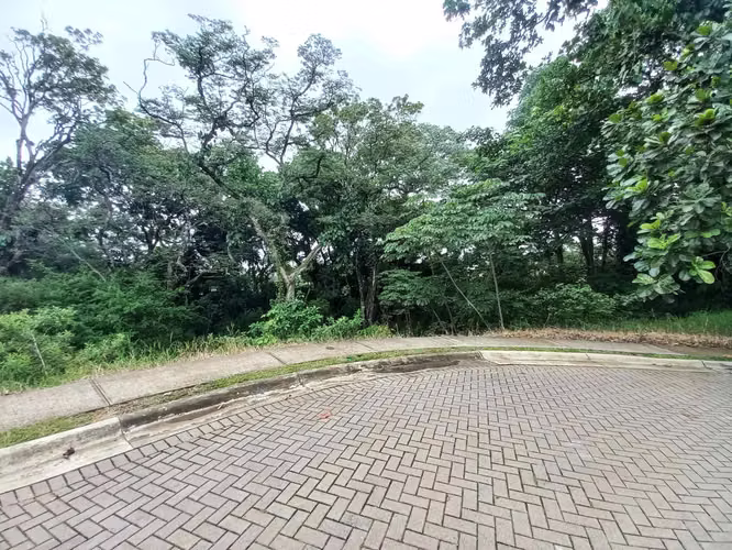 VENTA DE LOTE EN CONDOMINIO-LA GUÁCIMA - Imagen 18
