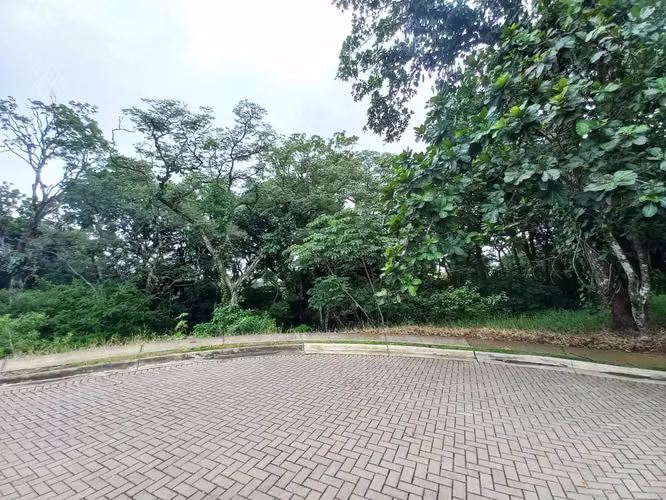 VENTA DE LOTE EN CONDOMINIO-LA GUÁCIMA