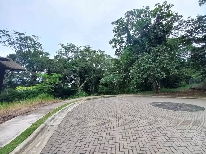 VENTA DE LOTE EN CONDOMINIO-LA GUÁCIMA - Imagen 4
