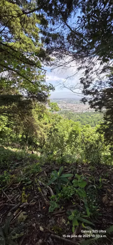 Venta de 4 hectáreas en San Diego del la Unión Cartago - Imagen 7
