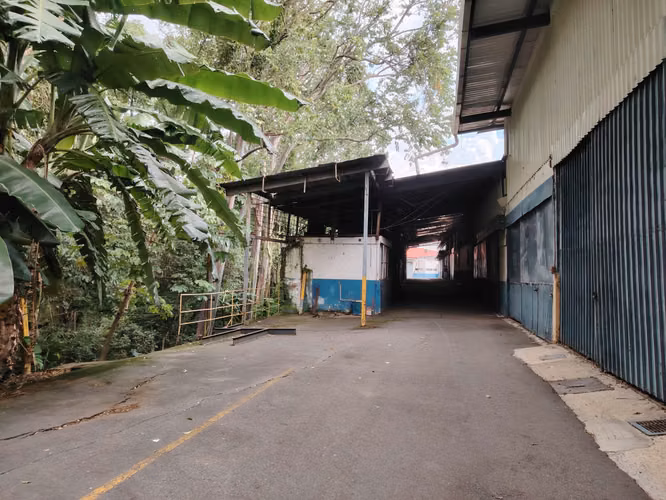 EN VENTA – AMPLIA PROPIEDAD ALTA DENSIDAD - Imagen 15