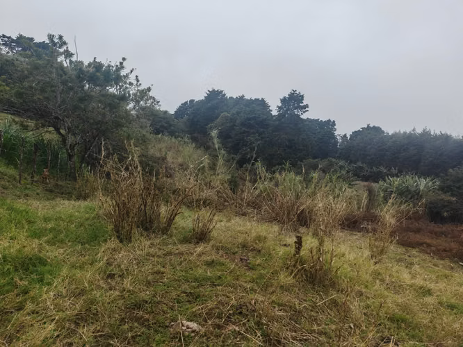 Venta de Hermoso Lote en Santa Elena, San Isidro de Heredia - Imagen 9