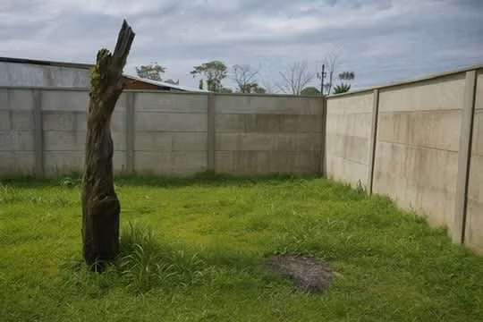 cabaña en venta ubicada en la hermosa zona de Huetares, Sarapiquí - Imagen 10