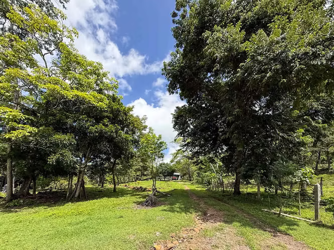 Se vende Terreno en Chomes, Puntarenas (MV). - Imagen 7
